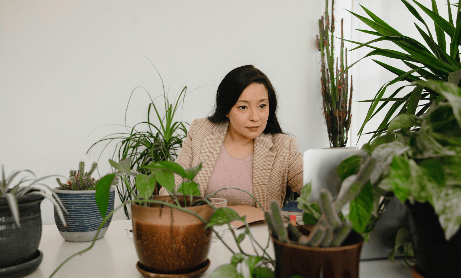 office-plant-based-environment-friendly-INNEG