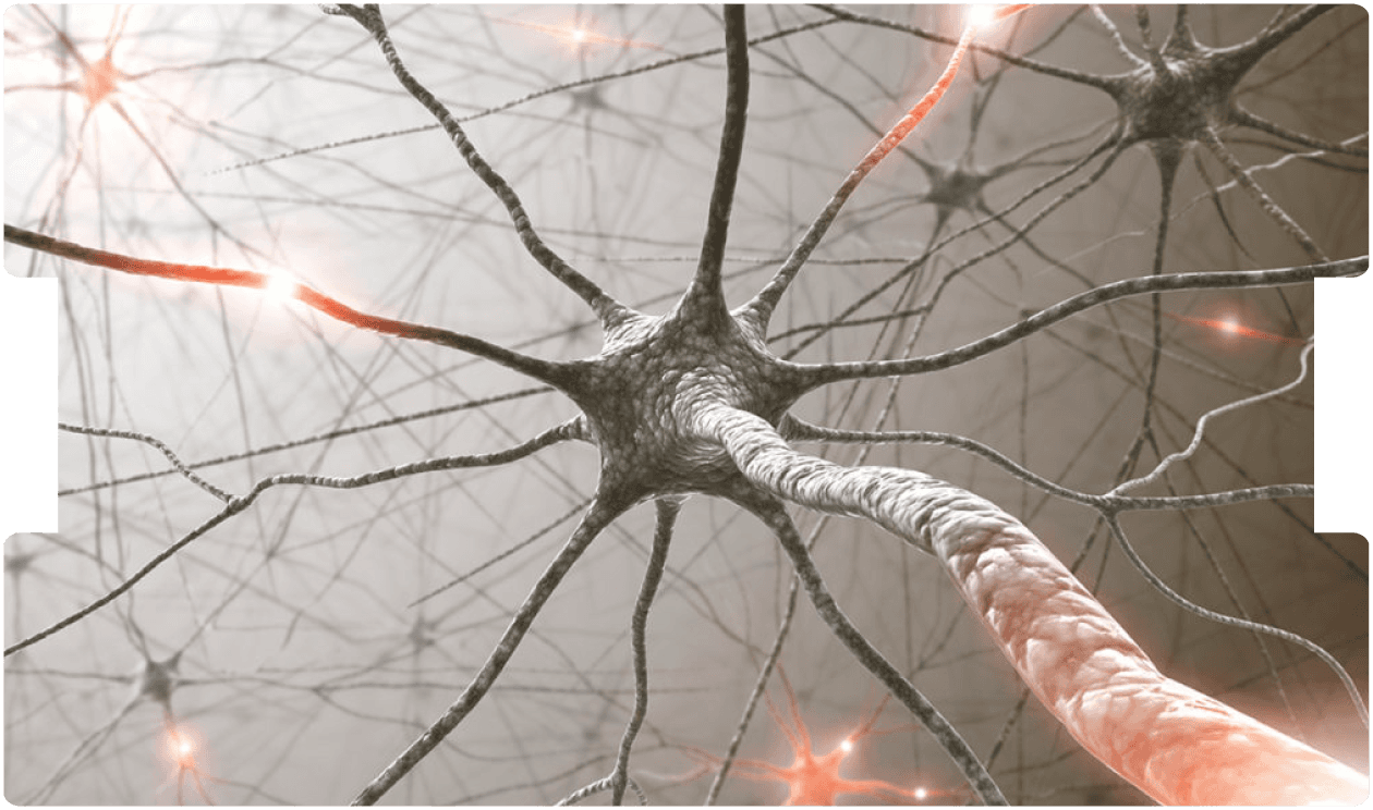 nerve-injury-plastics-expert-witness-inneg