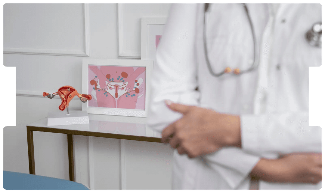 Doctor standing beside anatomical models of the female reproductive system, symbolising accuracy and accountability in cervical cancer screening litigation.